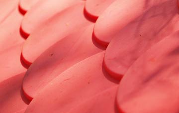 Lenham Forstal plastic roof costs